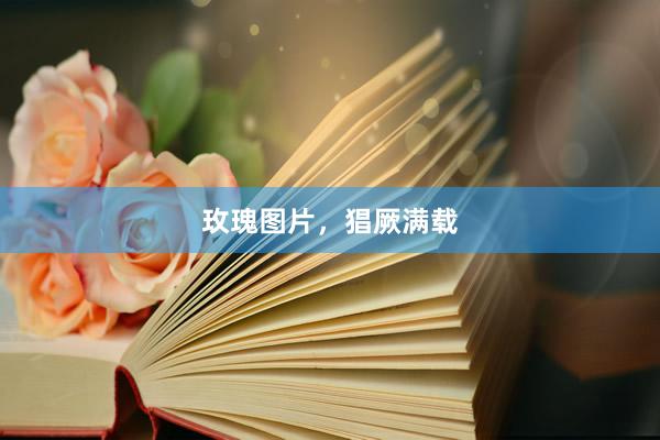玫瑰图片，猖厥满载