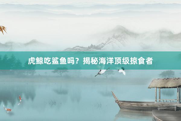虎鲸吃鲨鱼吗？揭秘海洋顶级掠食者