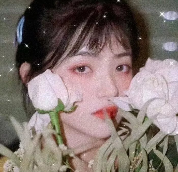 妖怪名单之苏九儿